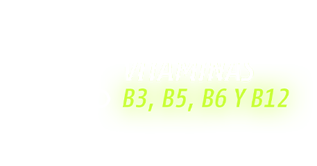 Ícono Vitaminas B3, B5, B6 y B12